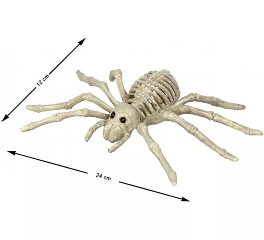 Translation missing: it.Esqueleto de Araña Tarántula de 24x12 cm