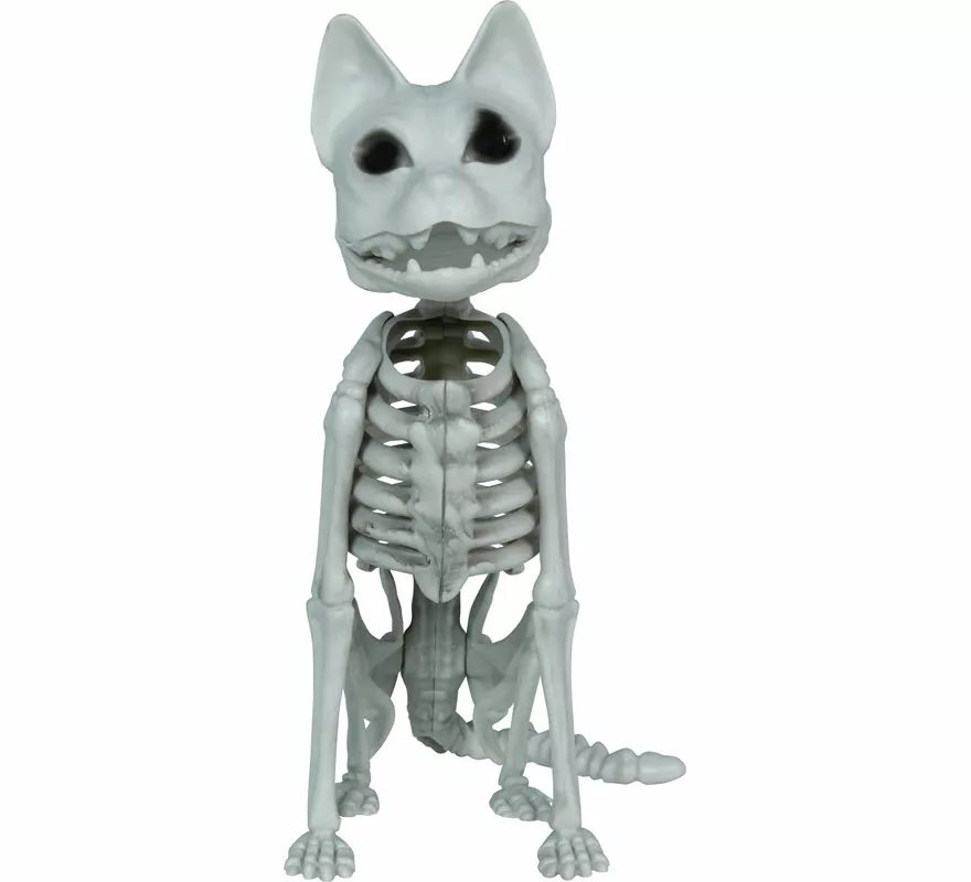 Translation missing: it.Esqueleto de Gato de 37 cm