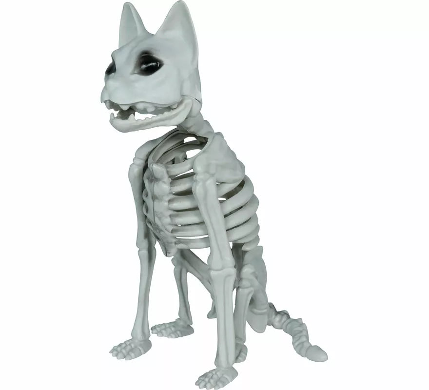 Translation missing: it.Esqueleto de Gato de 37 cm