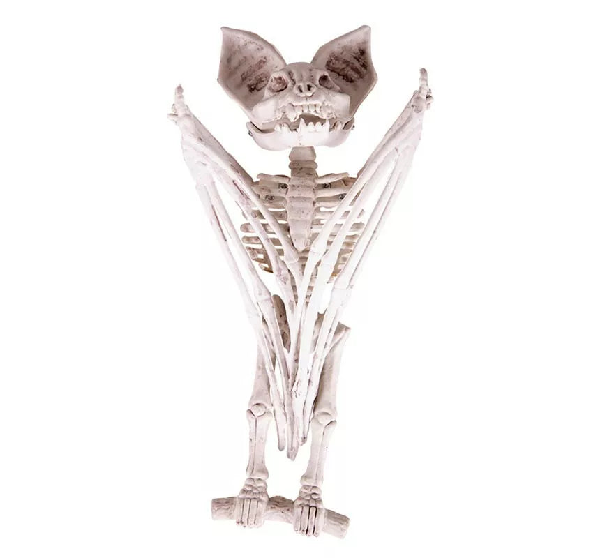Esqueleto de Murciélago de 27x11x7 cm