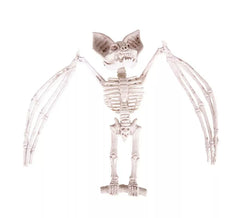 Scheletro di pipistrello 27x11x7 cm