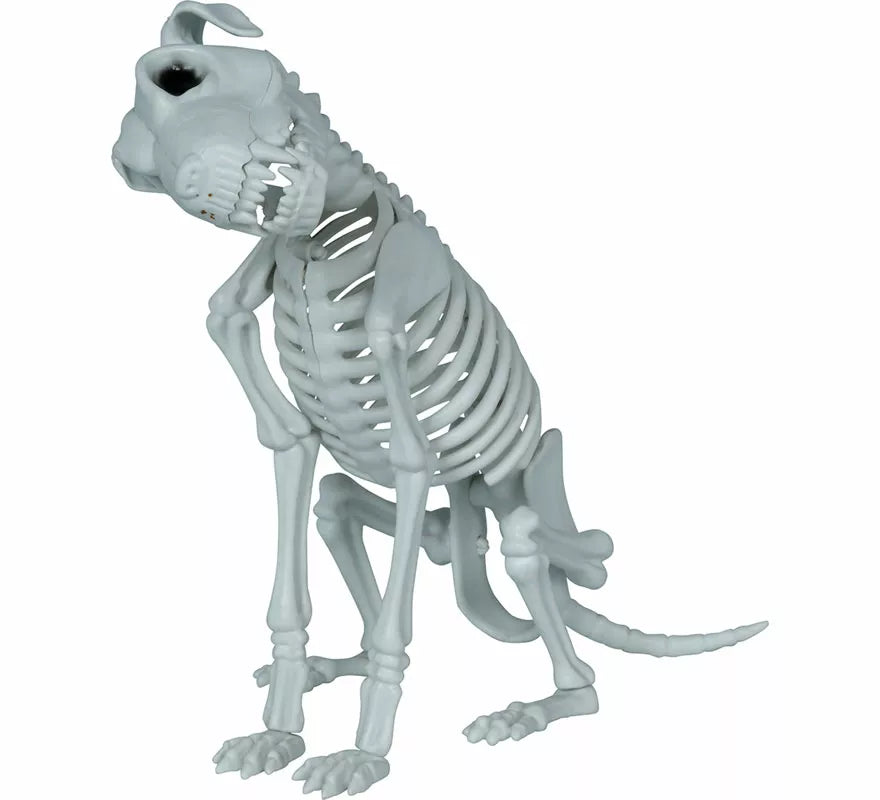Esqueleto de Perro de 38 cm