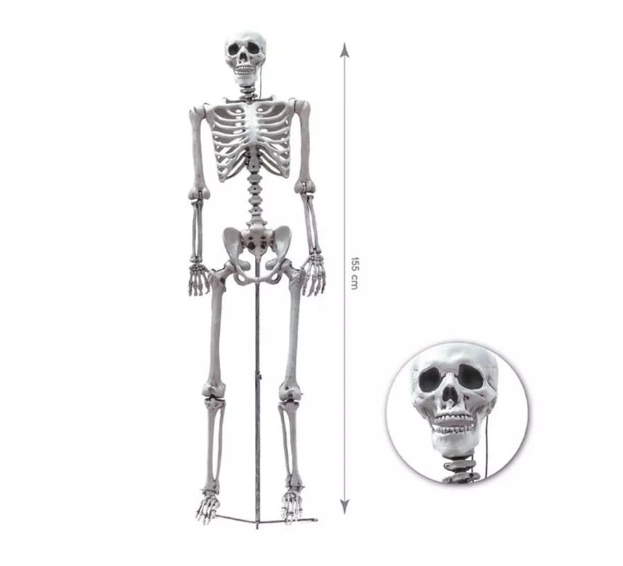 Translation missing: it.Esqueleto Humano completo de 155 cm