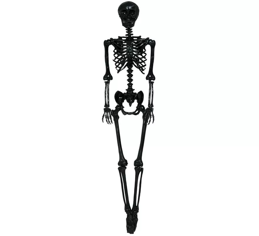 Esqueleto negro 160 cm