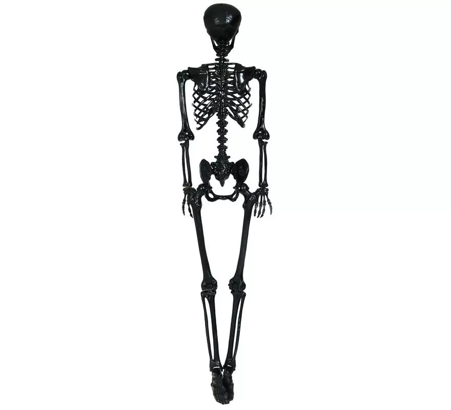 Esqueleto negro 90 cm