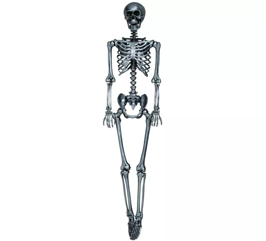 Translation missing: es.Esqueleto plata 160 cm