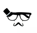 Gafas de Novio con bigote