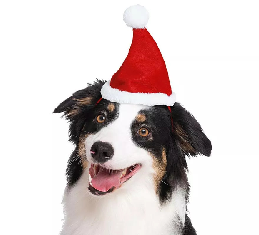 Translation missing: it.Gorro Navidad para perro