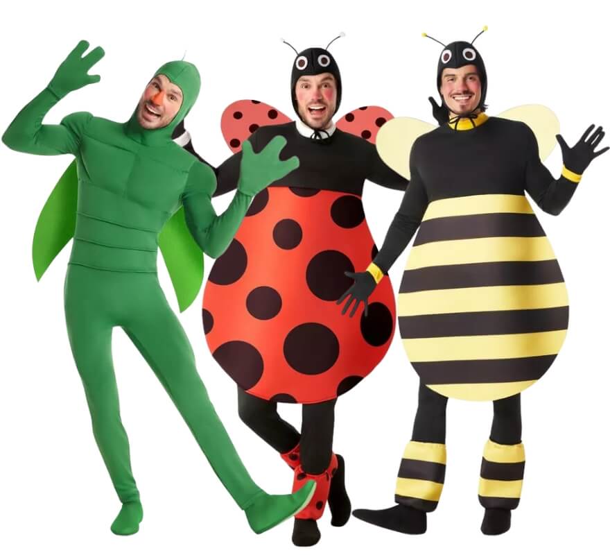 Grupo de insectos del jardín