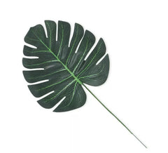 Decorazione verde foglia tropicale