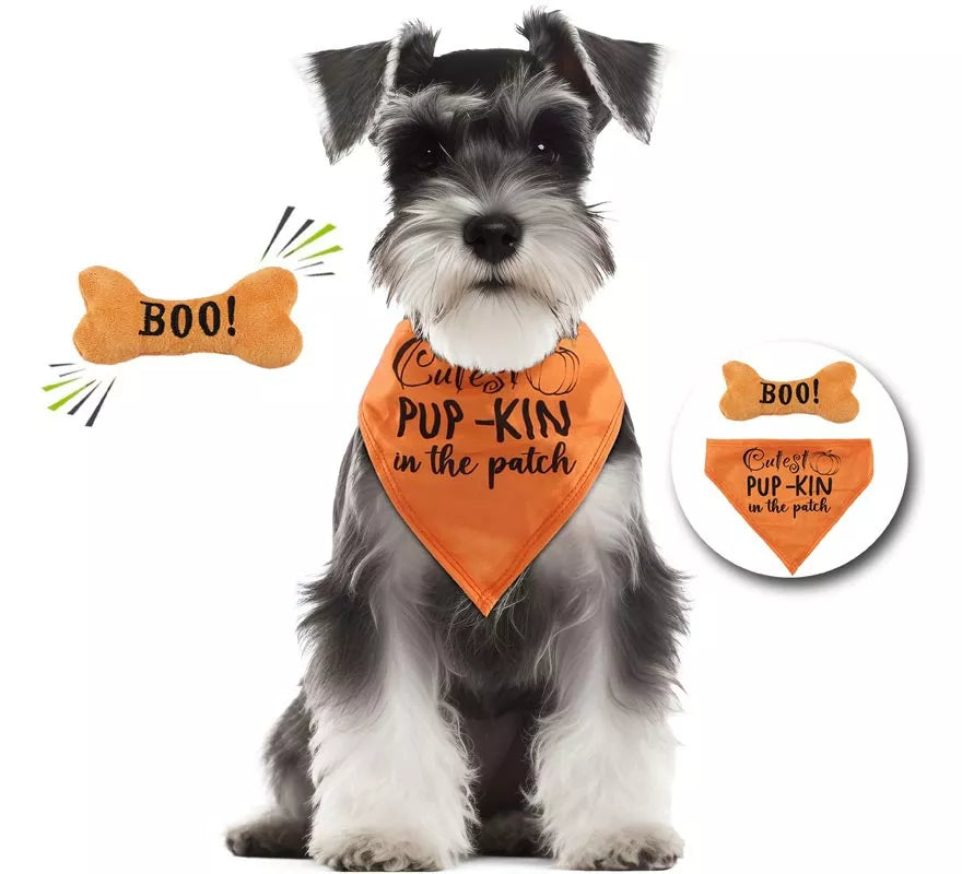 Translation missing: it.Kit de Calabaza para perro: Pañuelo y hueso