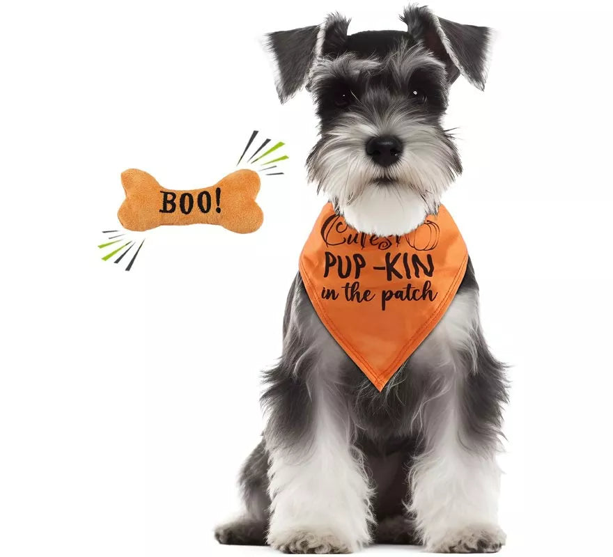 Translation missing: it.Kit de Calabaza para perro: Pañuelo y hueso