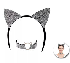 Kit gatto adulto lucido: fascia e collana