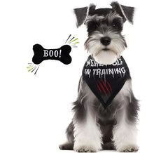 Kit per cani lupo mannaro: bandana e osso