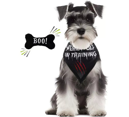 Kit de Hombre Lobo para perro: Pañuelo y hueso