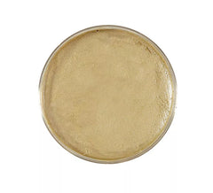 Crema trucco 25g in vari colori