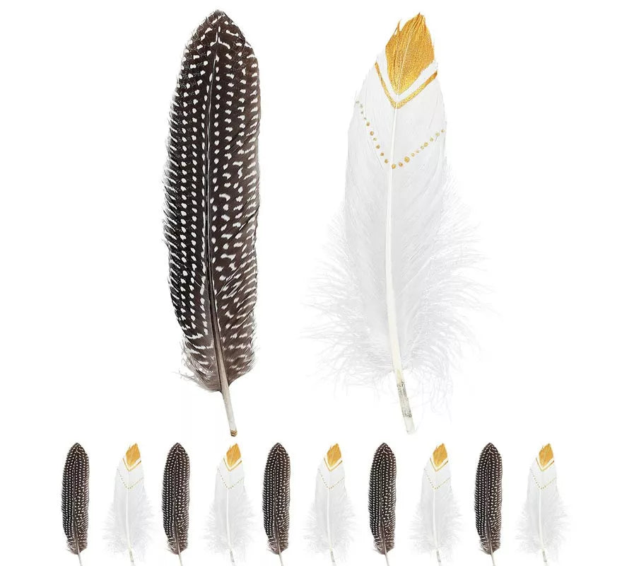 Translation missing: it.Pack de 12 Plumas de Indio en colores surtidos
