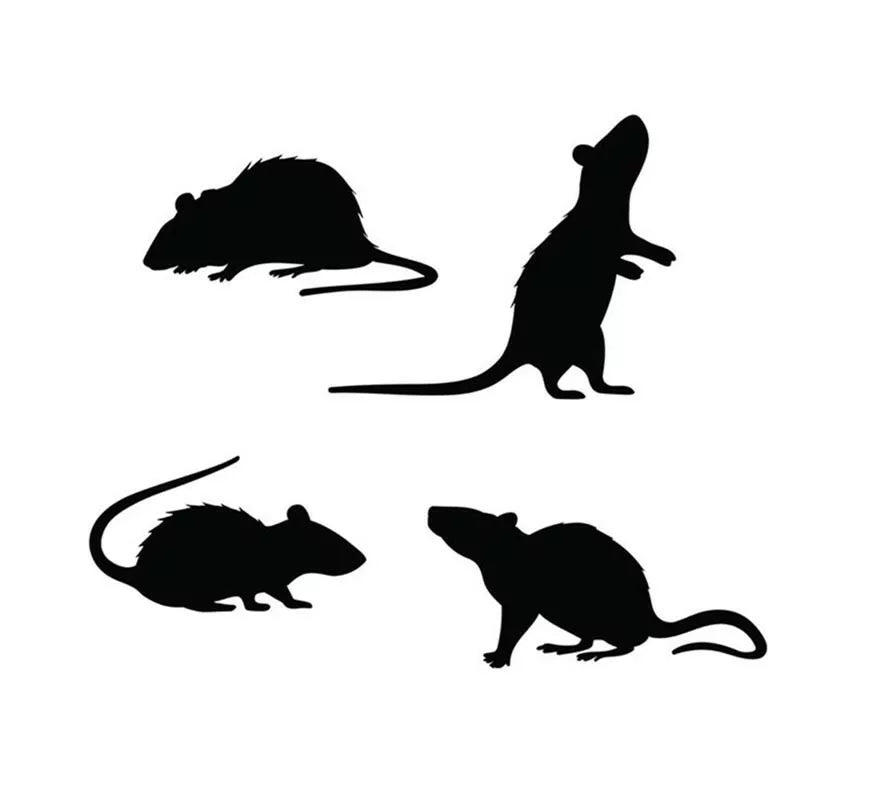 Translation missing: es.Pack de 4 Siluetas de Ratas negras