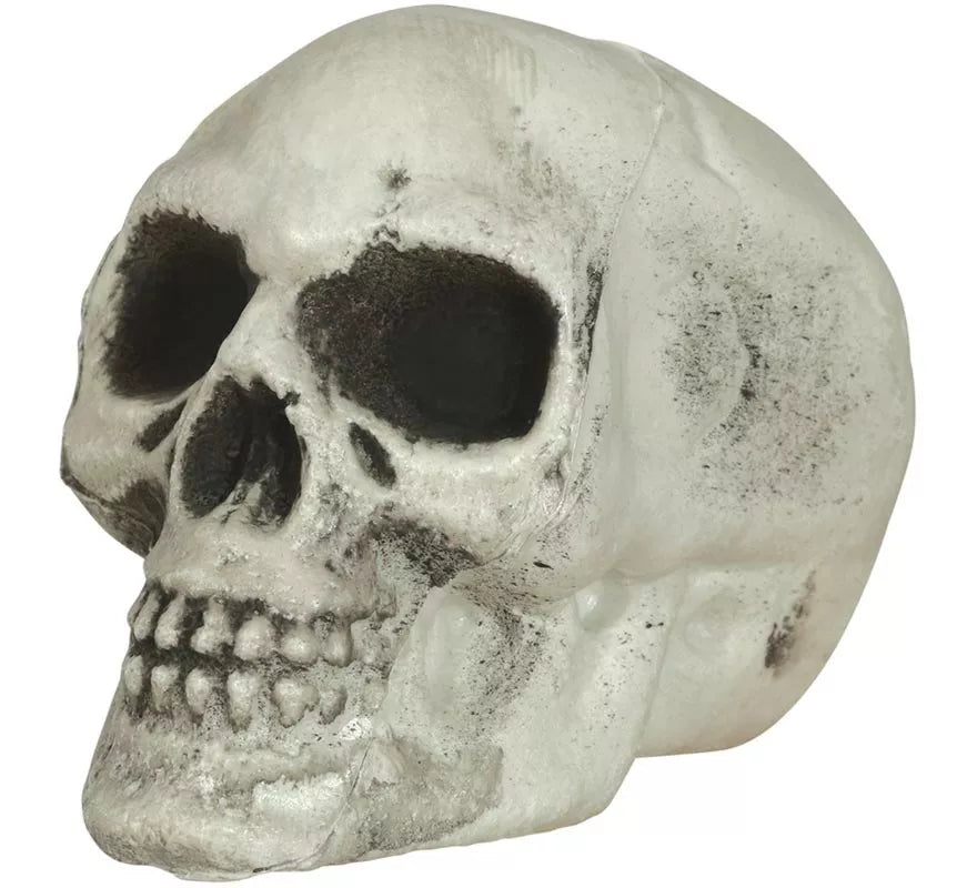 Translation missing: it.Pack de 6 Calaveras 8 cm