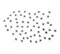 Pack de 60 Moscas de 1,5x1,5 cm