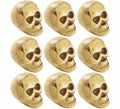 Pack de 9 Calaveras de 5 cm