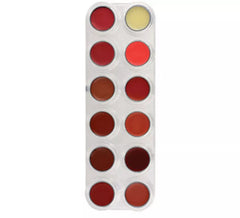 Tavolozza labbra 12 colori libbra