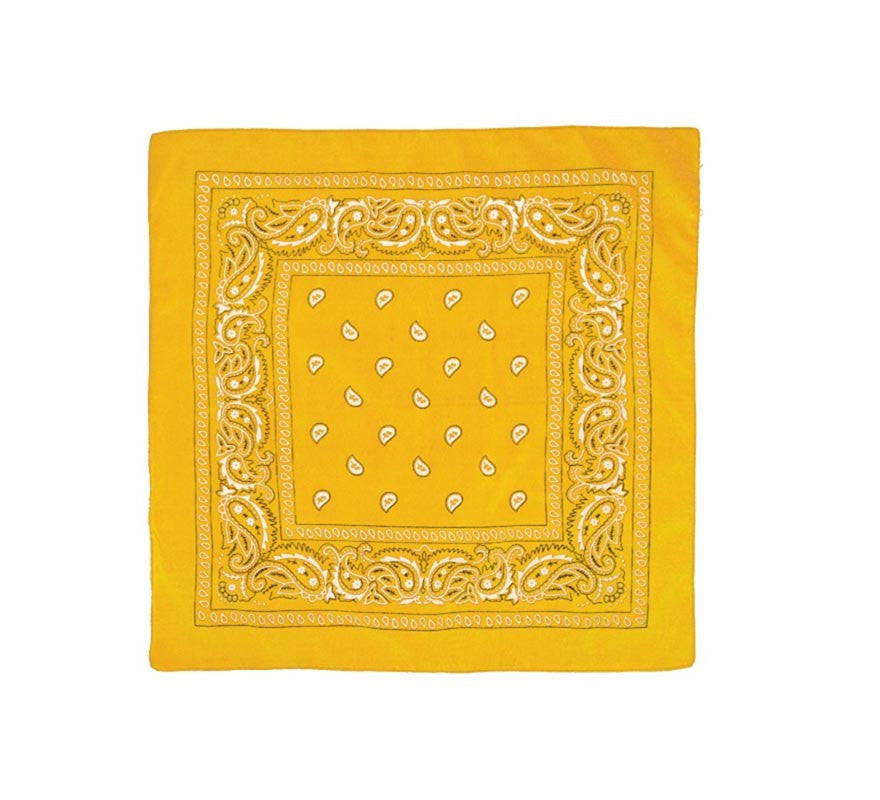Translation missing: it.Pañuelo Paisley de 54x54 cm en varios colores