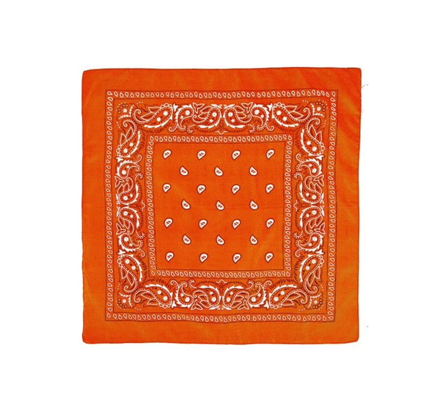 Translation missing: it.Pañuelo Paisley de 54x54 cm en varios colores
