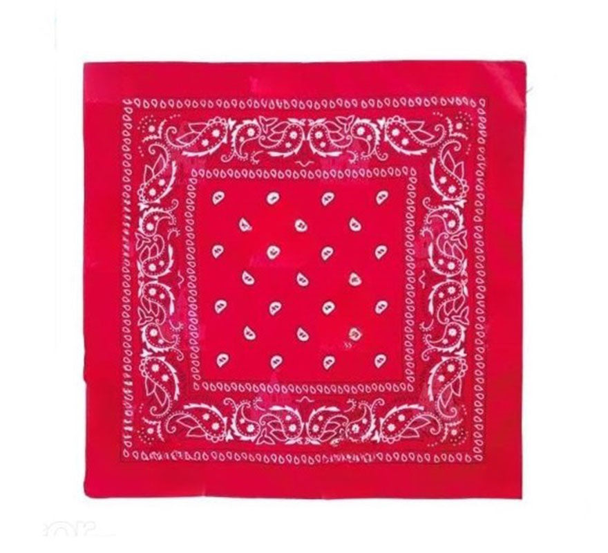 Translation missing: it.Pañuelo Paisley de 54x54 cm en varios colores