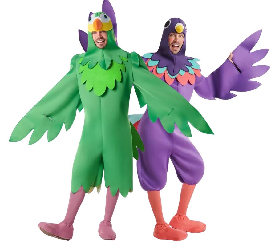 Coppia di uccelli verde e viola