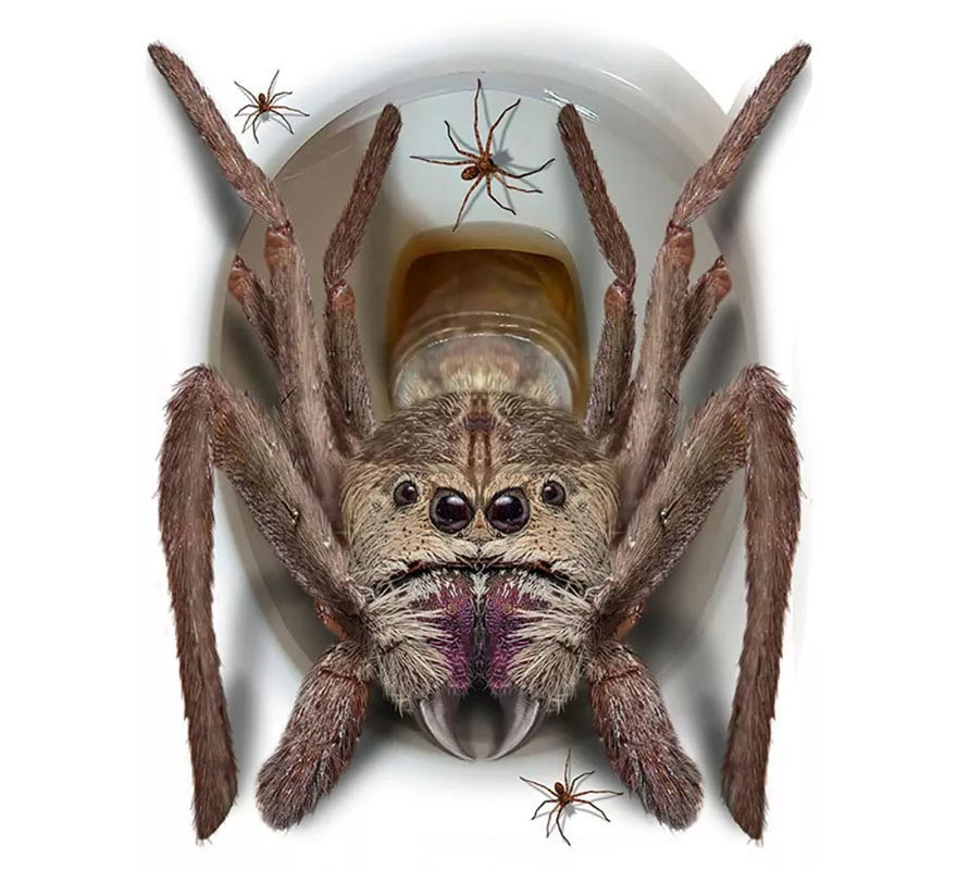 Translation missing: es.Pegatina Araña Gigante para tapa de inodoro de 30x40 cm