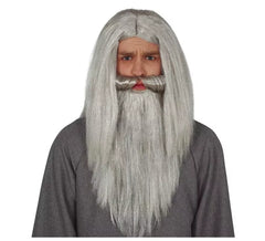 Mago parrucca di capelli e la barba grigia
