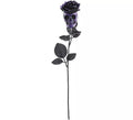 Rosa negra con Calavera morada