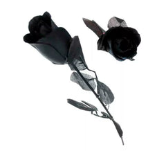 Rosa nera con foglie nere