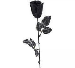 Rosa nera da 43 cm