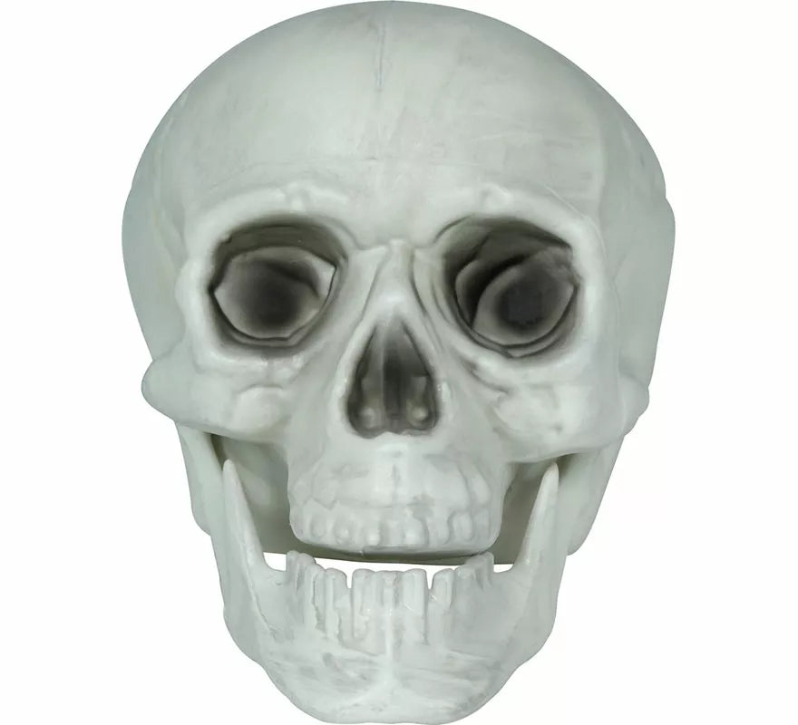 Translation missing: it.Set 3 Calaveras de 15 cm