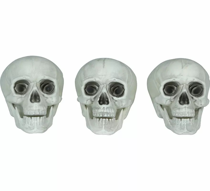 Translation missing: it.Set 3 Calaveras de 15 cm