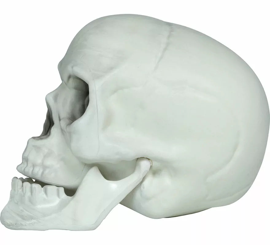Translation missing: it.Set 3 Calaveras de 15 cm