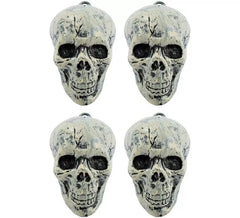 Set di 4 teschi