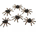 Set de 6 Arañas Brillantes de 6x7 cm