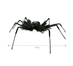 Tarantola pelosa nera di 80 cm