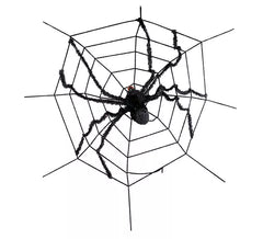 Ragnatela con Ragno Gigante 180X180 cm